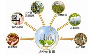 菜市場農產品追溯系統定制開發 信息技術賦能食品安全新生態